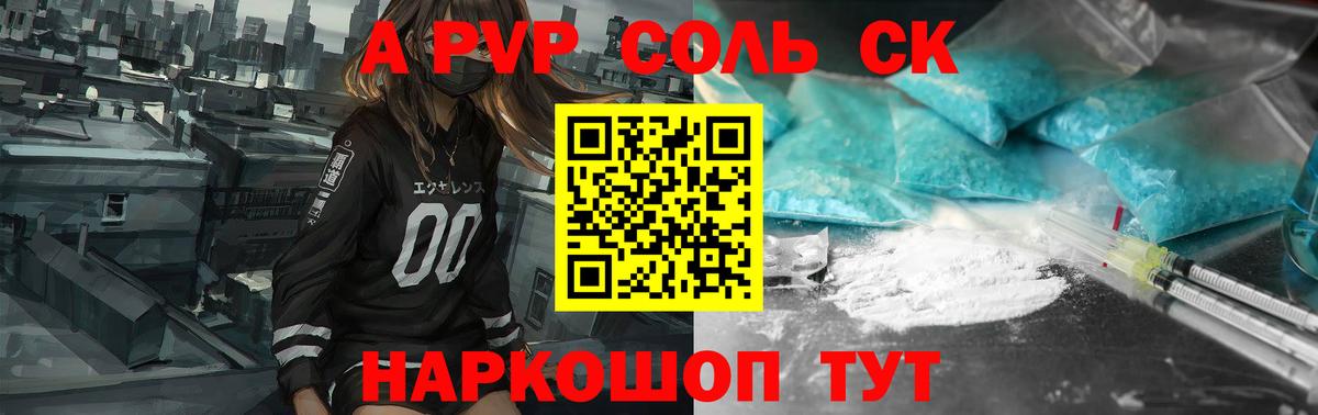 A PVP СК КРИС Ставрополь