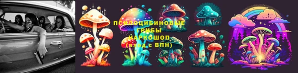 гашиш Дмитров