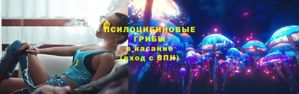 тгк Дмитровск