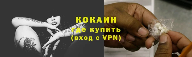 амф Елизово