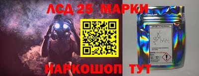 apvp Славгород