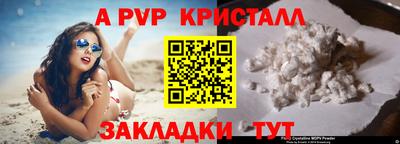 спиды Сланцы