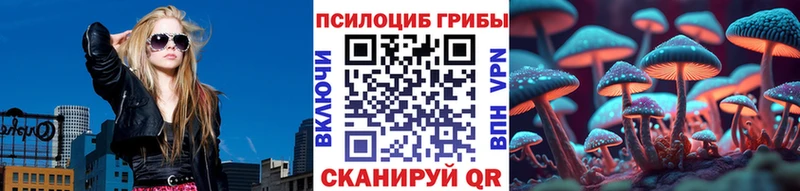 Галлюциногенные грибы GOLDEN TEACHER  где купить наркотик  Ставрополь 
